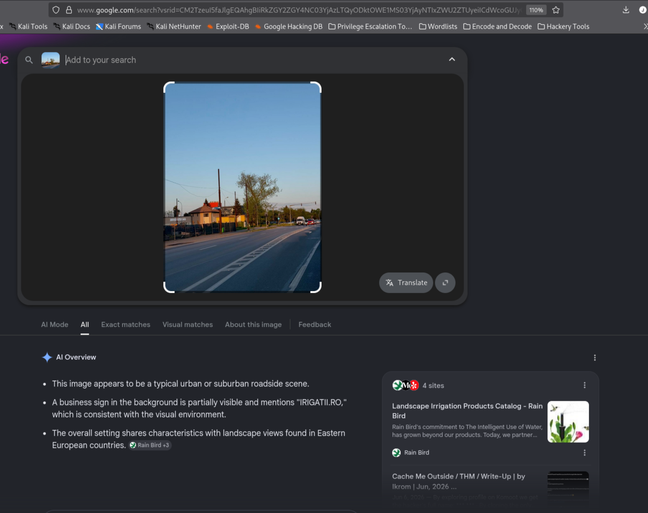 Google Image search on Threads photo identifying IRIGATII.RO business sign